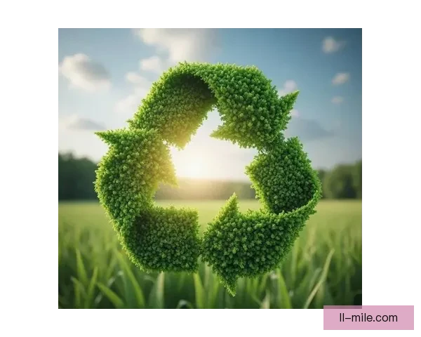 世界杯官方倡导绿色低碳办赛推动可持续发展新举措